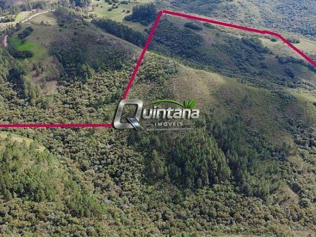 Sítio e chácara venda em Região Geográfica Imediata de São Gabriel - Caçapava do Sul, Cacapava do Sul
