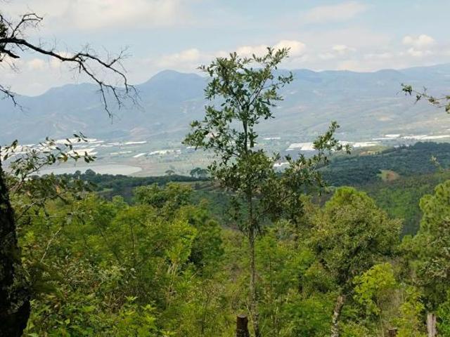 Rancho en venta en Ciudad Guzmán, Región Sur