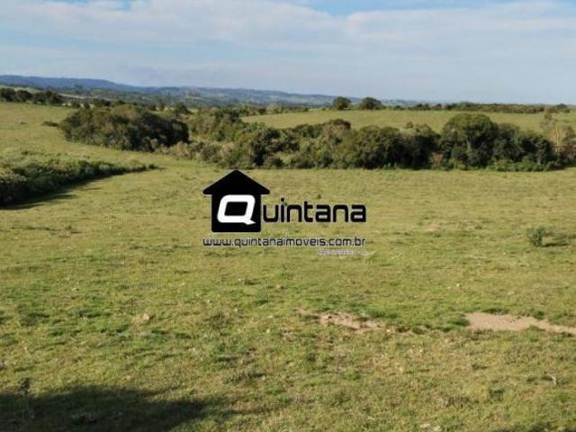 Sítio e chácara venda em Região Geográfica Imediata de Pelotas, Canguçu