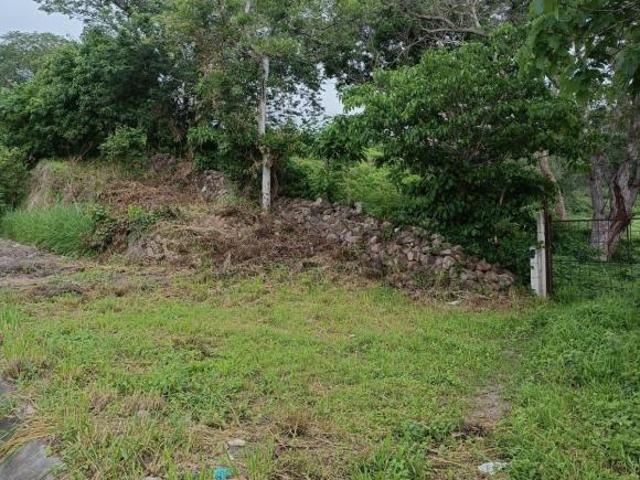 VENDO 8090 M2 DE TERRENO EN EL LIBRAMIENTO DE COMALA ABORDO DE CARRETERA