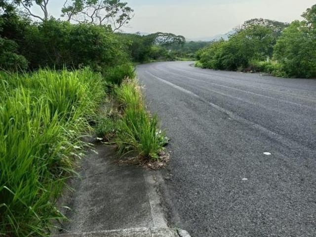 VENDO 8090 M2 DE TERRENO EN EL LIBRAMIENTO DE COMALA ABORDO DE CARRETERA
