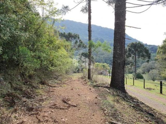Terreno venda em Região Geográfica Imediata de Caxias do Sul, Nova Petrópolis