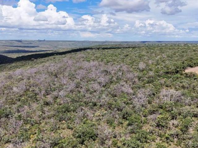 Sítio e chácara venda em Região Geográfica Imediata de Unaí, Formoso