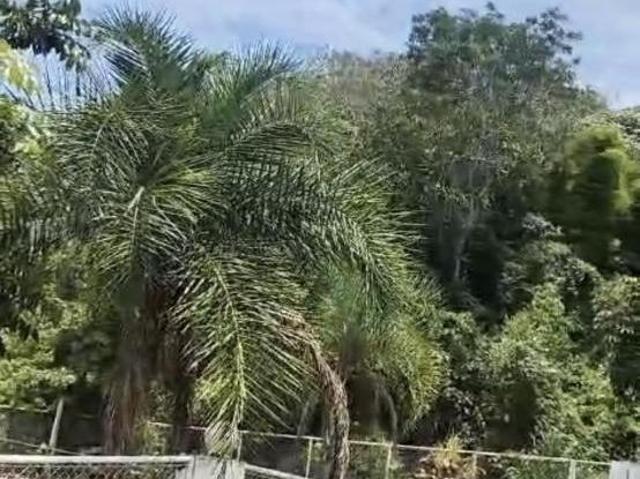 Sítio e chácara venda em Região Geográfica Imediata do Distrito Federal, Região Integrada de Desenvolvimento do Distrito Federal e Entorno