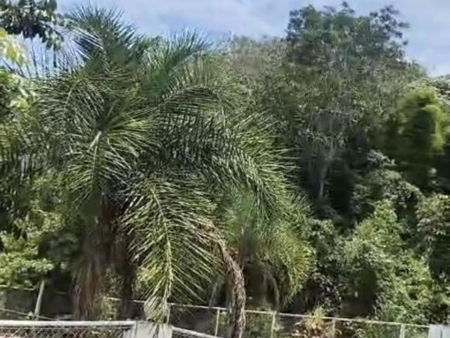 Sitio venda em Ceilândia