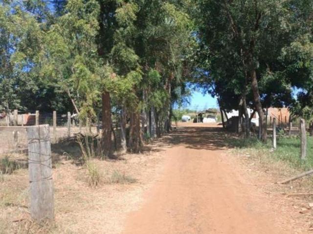 Sítio e chácara venda em Região Geográfica Imediata de Flores de Goiás, Flores de Goiás
