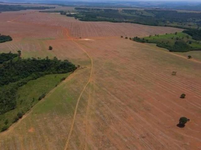 Sítio e chácara venda em São Miguel do Passa Quatro, Região Geográfica Intermediária de Goiânia