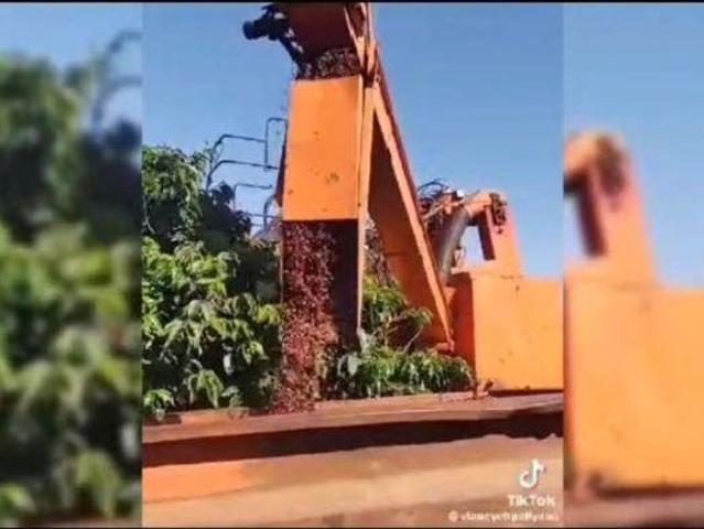 Sítio e chácara venda em Regional Centro-Sul, Belo Horizonte