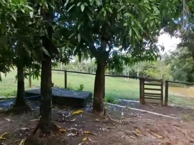 Sítio e chácara venda em Região Geográfica Imediata de Flores de Goiás, Região Integrada de Desenvolvimento do Distrito Federal e Entorno