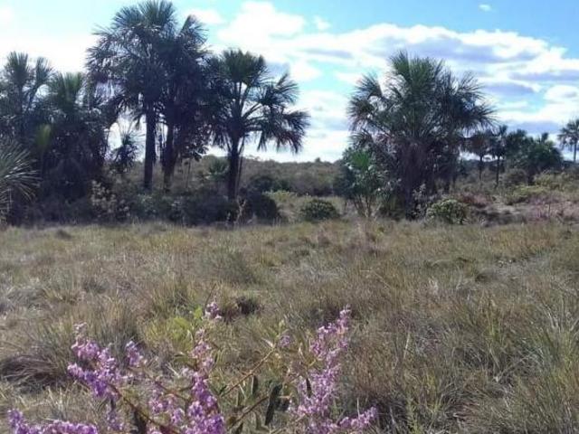 Sítio e chácara venda em Região Geográfica Imediata de Unaí, Arinos