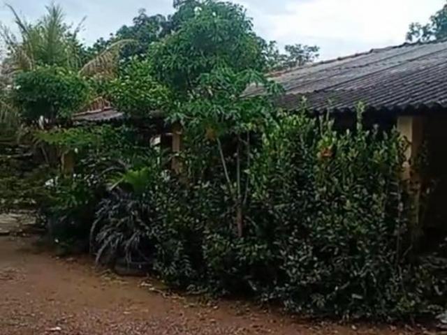 Sítio e chácara venda em Região Geográfica Imediata do Distrito Federal, Região Integrada de Desenvolvimento do Distrito Federal e Entorno