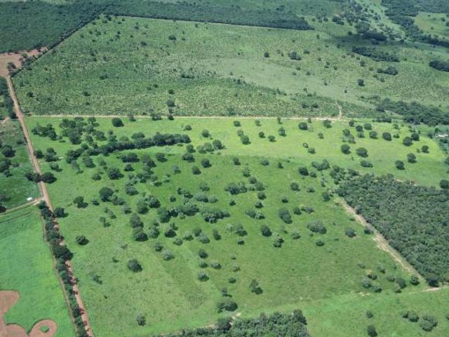 Sítio e chácara venda em Região Geográfica Imediata de Unaí, Dom Bosco