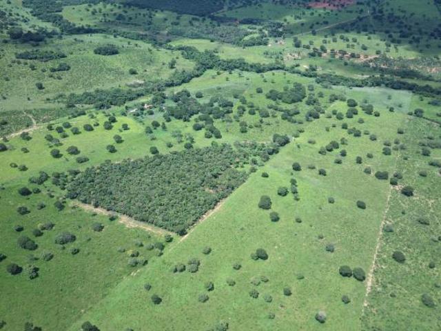 Sítio e chácara venda em Região Geográfica Imediata de Unaí, Dom Bosco