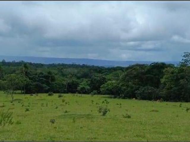 Sítio e chácara venda em Região Geográfica Imediata de Flores de Goiás, Região Integrada de Desenvolvimento do Distrito Federal e Entorno