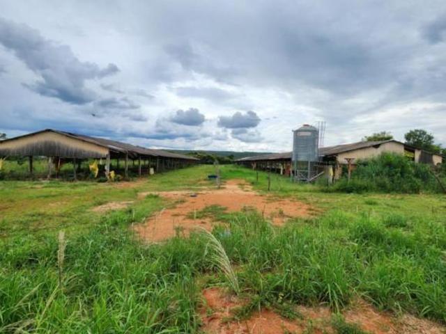 Sítio e chácara venda em Região Geográfica Imediata do Distrito Federal, Região Integrada de Desenvolvimento do Distrito Federal e Entorno