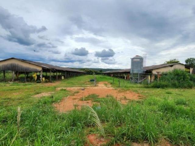 Sítio e chácara venda em Região Geográfica Imediata do Distrito Federal, Região Integrada de Desenvolvimento do Distrito Federal e Entorno