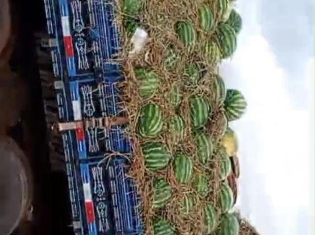 Terreno venda em Região Geográfica Imediata de Anápolis, Jaraguá