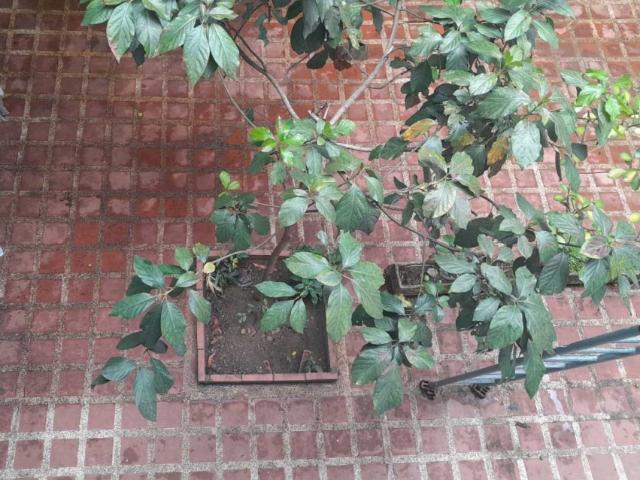 Casa en venta en San Juan De Los Morros, Guárico