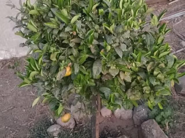 Casa en venta en Andacollo, Coquimbo