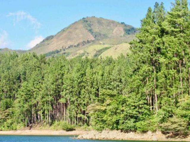 VENDO CASA CAMPESTRE 2500M2 4 RECAMARAS SANTIAGO DE VERAGUAS