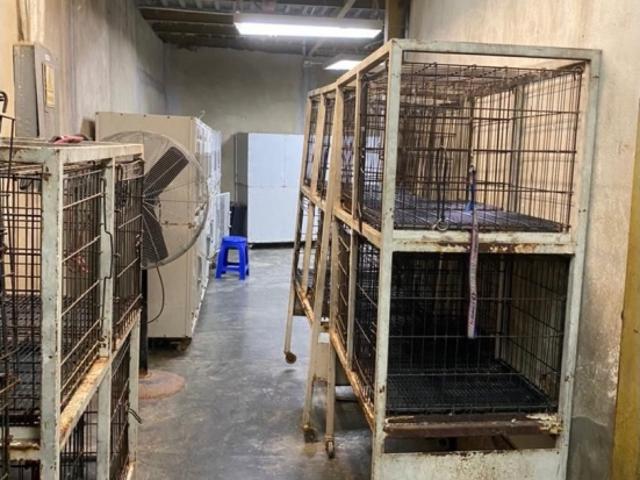 Local Comercial en venta en Boca De Uchire, Miranda