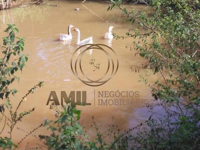Sítio e chácara venda em Paraisópolis