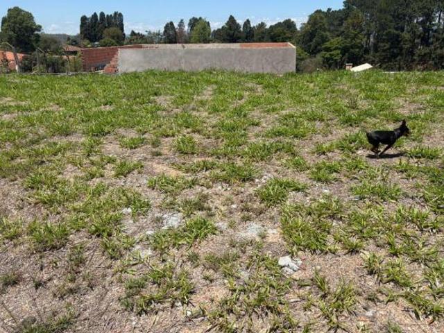 Sítio e chácara venda em Região Imediata de Sorocaba, Região Metropolitana de Sorocaba