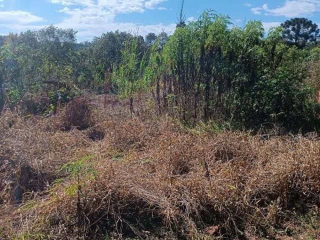 Sítio e chácara venda em Região Imediata de São Paulo, Região Metropolitana de São Paulo