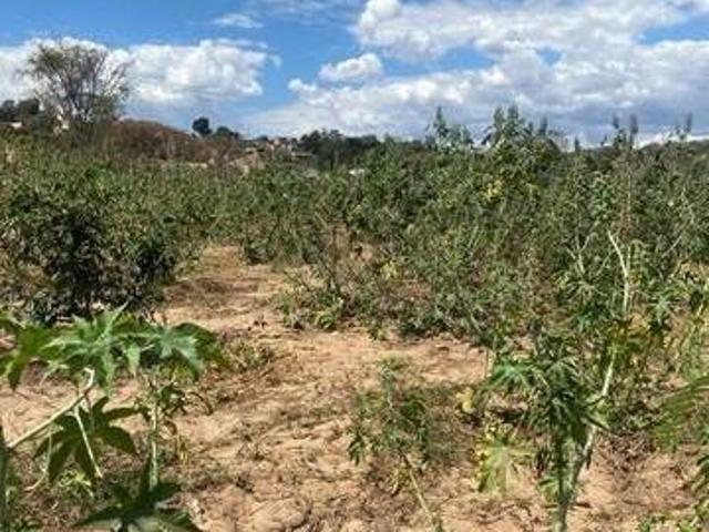 Sítio e chácara venda em Região Geográfica Imediata de Belo Horizonte, Região Metropolitana de Belo Horizonte