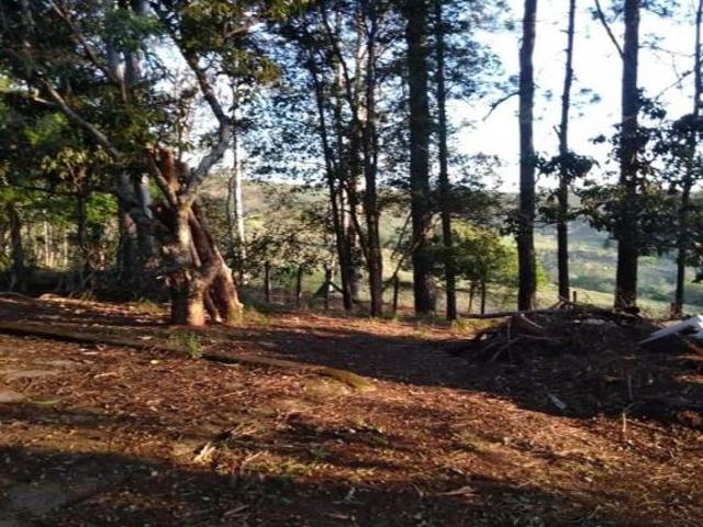 Sítio e chácara venda em Região Geográfica Imediata de Itajubá, Brasópolis