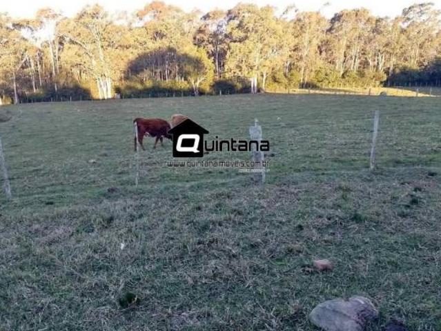 Sítio e chácara venda em Região Geográfica Imediata de Pelotas, Morro Redondo