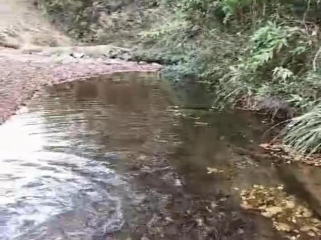 Sítio e chácara venda em Região Geográfica Imediata do Distrito Federal, Região Integrada de Desenvolvimento do Distrito Federal e Entorno