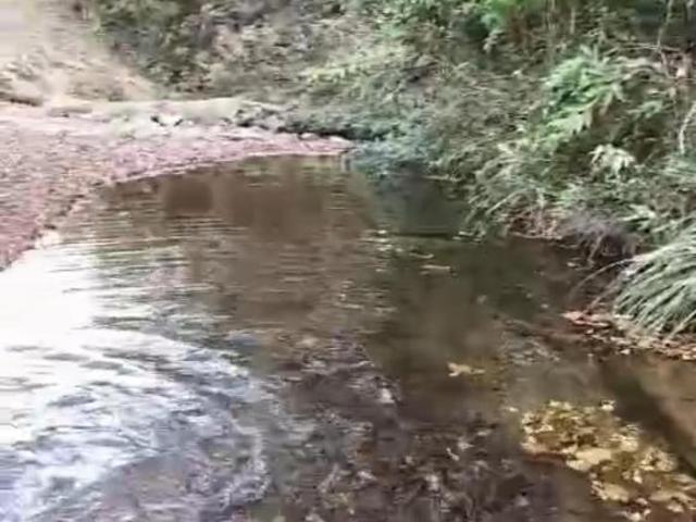 Sítio e chácara venda em Região Geográfica Imediata do Distrito Federal, Região Integrada de Desenvolvimento do Distrito Federal e Entorno