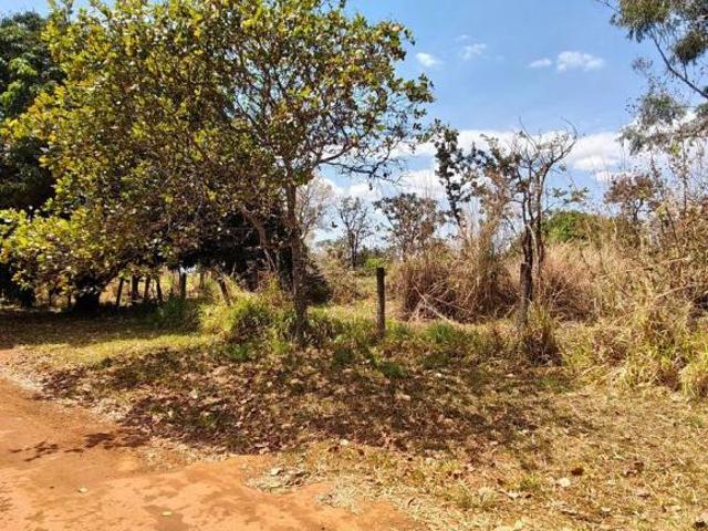 Sítio e chácara venda em Região Geográfica Imediata do Distrito Federal, Região Integrada de Desenvolvimento do Distrito Federal e Entorno