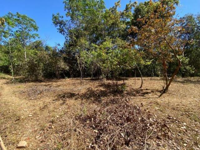 Terreno venda em Região Geográfica Imediata de Águas Lindas de Goiás, Região Integrada de Desenvolvimento do Distrito Federal e Entorno