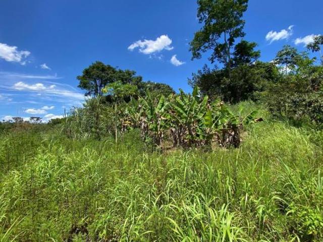 Sítio e chácara venda em Região Geográfica Imediata do Distrito Federal, Região Integrada de Desenvolvimento do Distrito Federal e Entorno