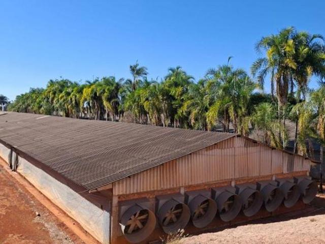 Sítio e chácara venda em Região Geográfica Imediata do Distrito Federal, Região Integrada de Desenvolvimento do Distrito Federal e Entorno