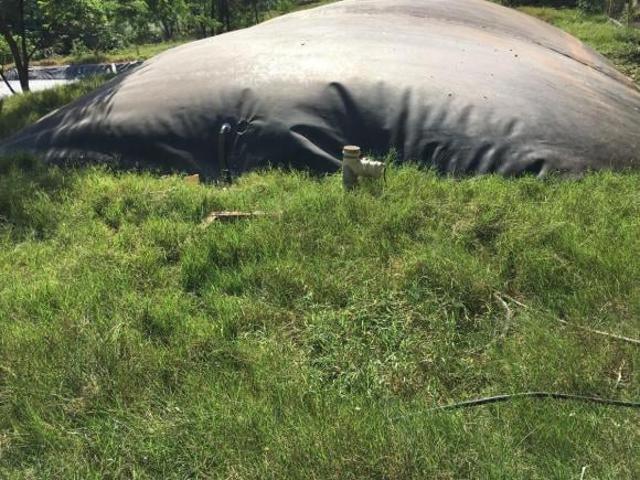 Sítio e chácara venda em Marechal Cândido Rondon, Região Geográfica Intermediária de Cascavel
