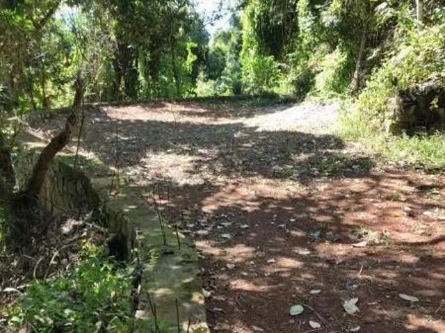 Terreno venda em Ilhabela