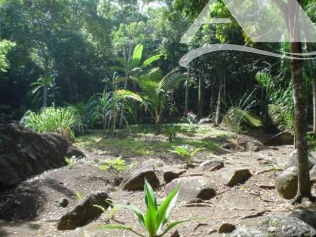 Terreno venda em Cambaquara, Ilhabela