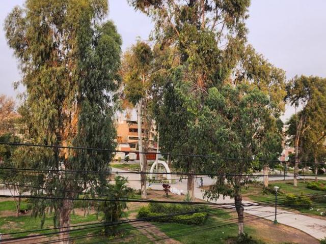 Departamento venta en San Luis, Ancash