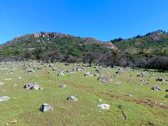 VENDO espectacular parcela, Santa Cruz