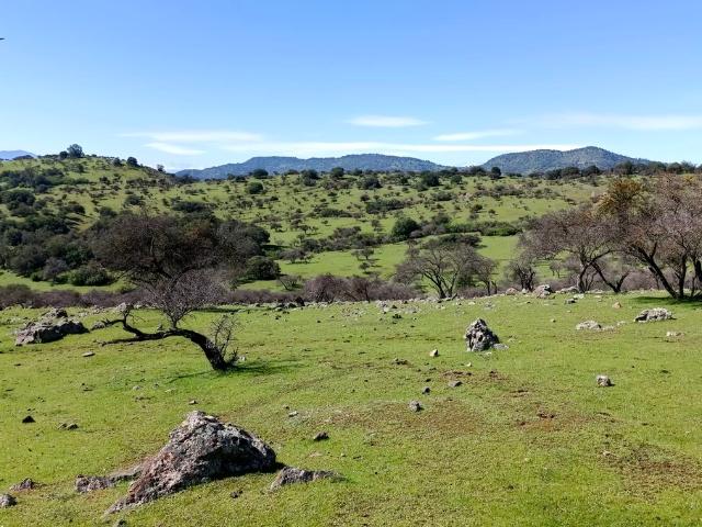 VENDO espectacular parcela, Santa Cruz