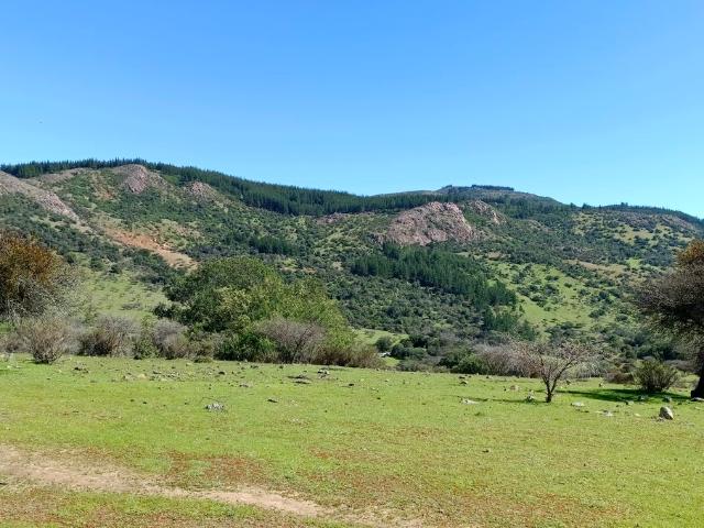 VENDO espectacular parcela, Santa Cruz