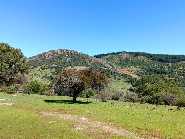 VENDO espectacular parcela, Santa Cruz