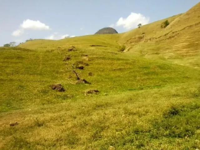 Fazenda venda em Região Geográfica Imediata de Cachoeiro de Itapemirim, Atilio Vivacqua