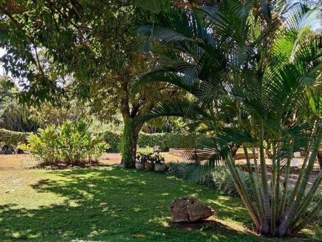 Sítio e chácara venda em Região Geográfica Imediata do Distrito Federal, Região Integrada de Desenvolvimento do Distrito Federal e Entorno