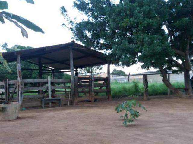 Sítio e chácara venda em Cristalina, Região Geográfica Intermediária de Luziânia-Águas Lindas de Goiás