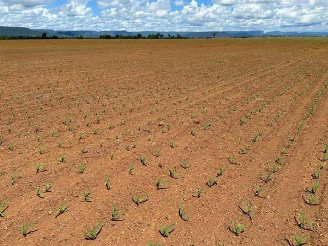 Sítio e chácara venda em Região Geográfica Imediata do Distrito Federal, Região Integrada de Desenvolvimento do Distrito Federal e Entorno