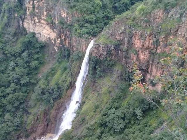 Sítio e chácara venda em Região Geográfica Imediata de Flores de Goiás, Flores de Goiás